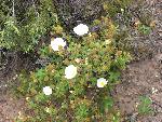 Photo DSC01851.JPG